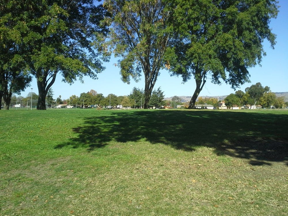 Northgate Park in Fremont Parent Reviews on Winnie