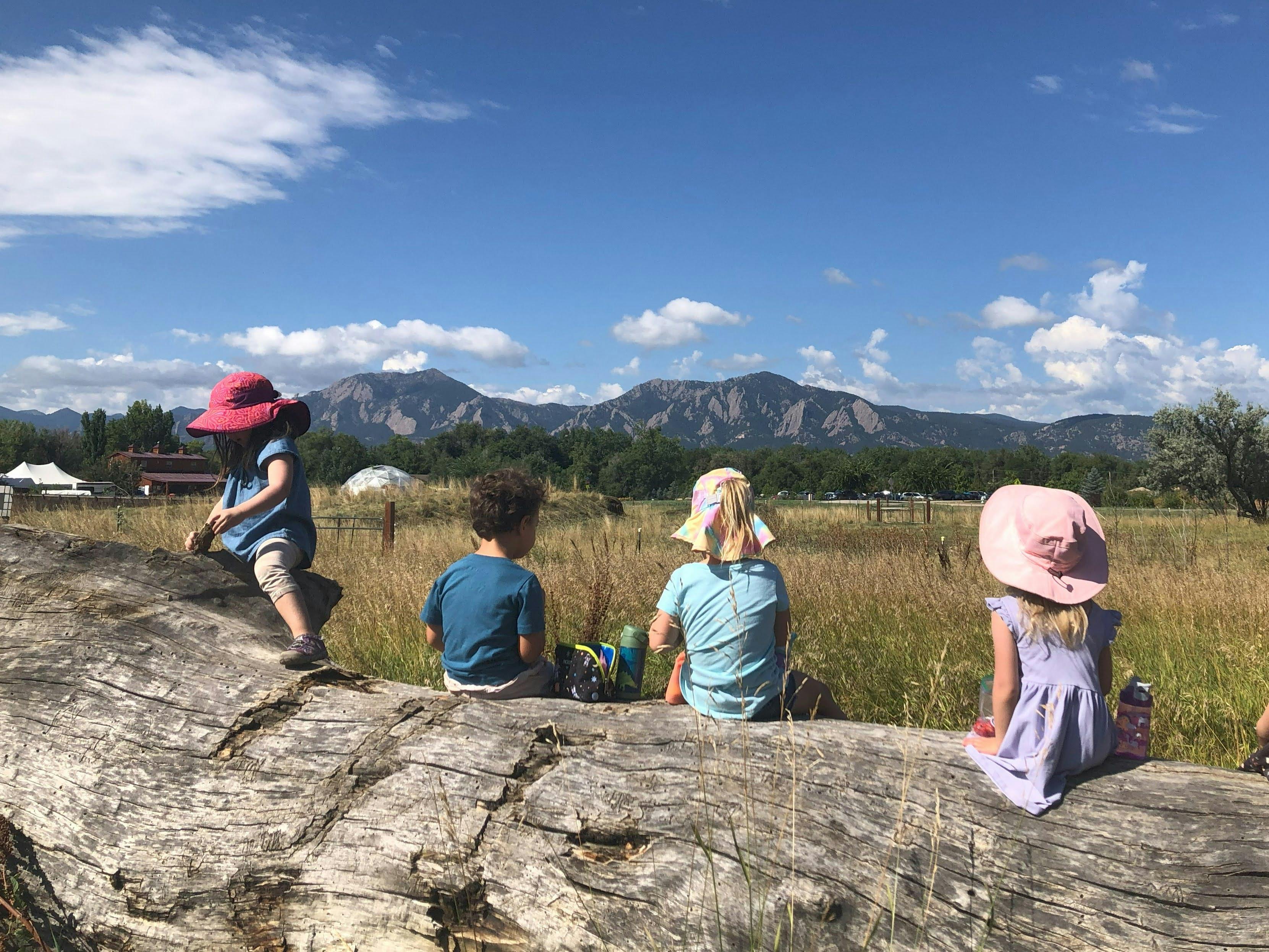 Four children sitting on a log, looking at mountains in the distance