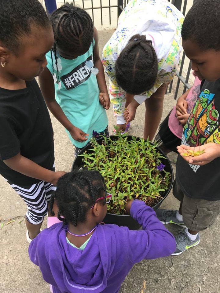 Children gathered around a large plant pot, tending to the plants