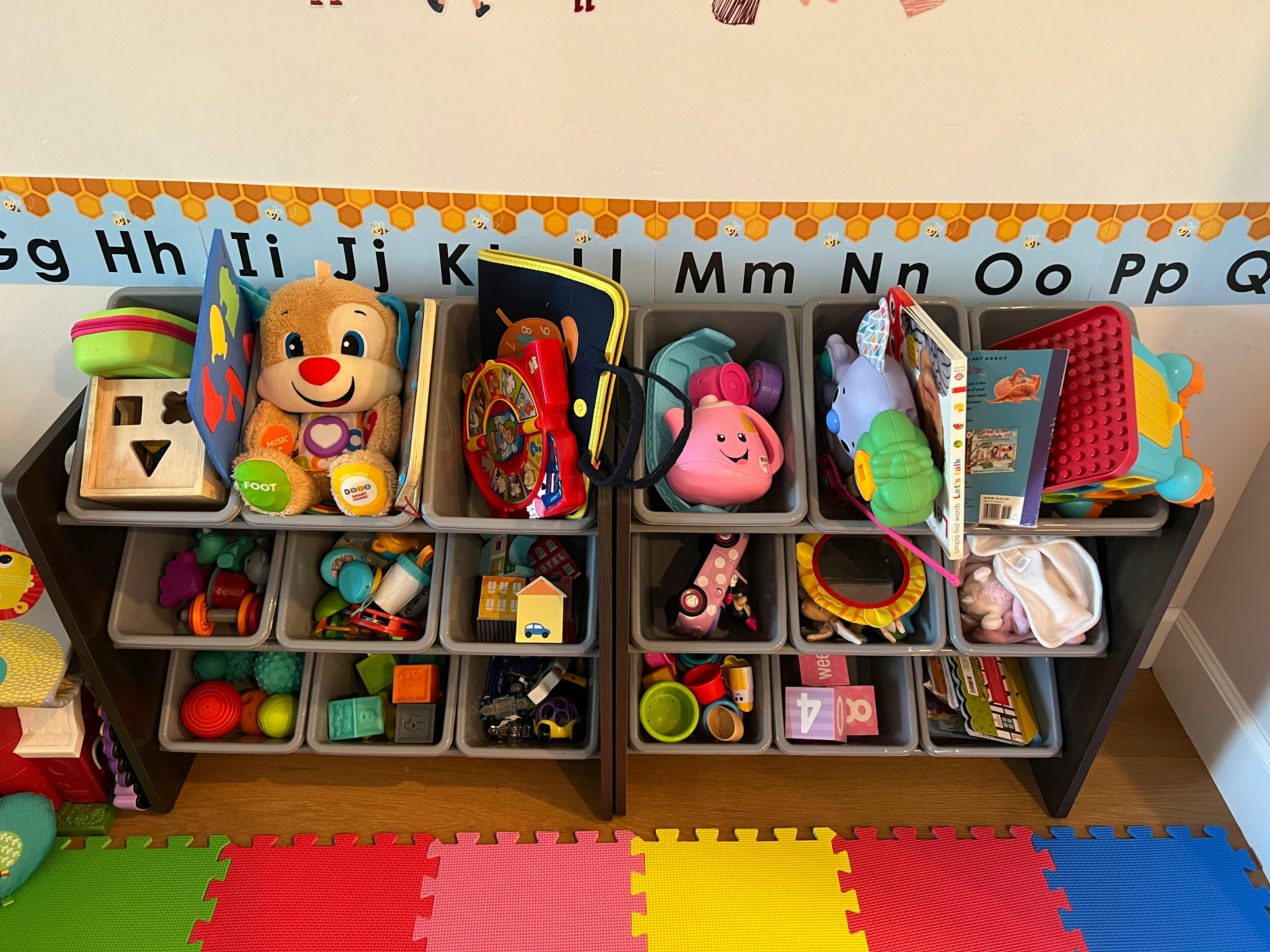 Toy organizer with various toys and books