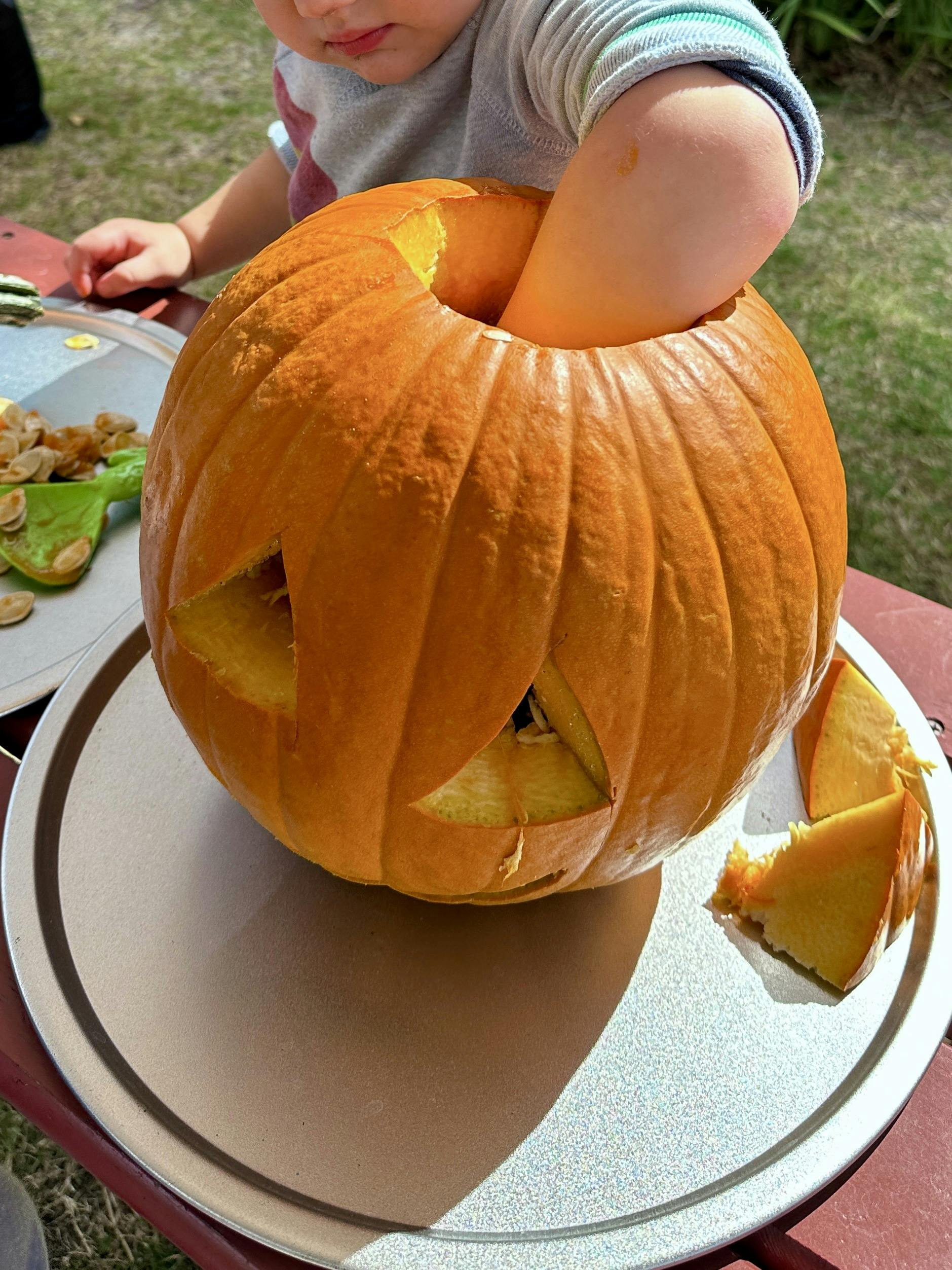 Child reaching into a carved pumpkin