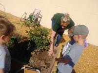Adult and two children looking at plants