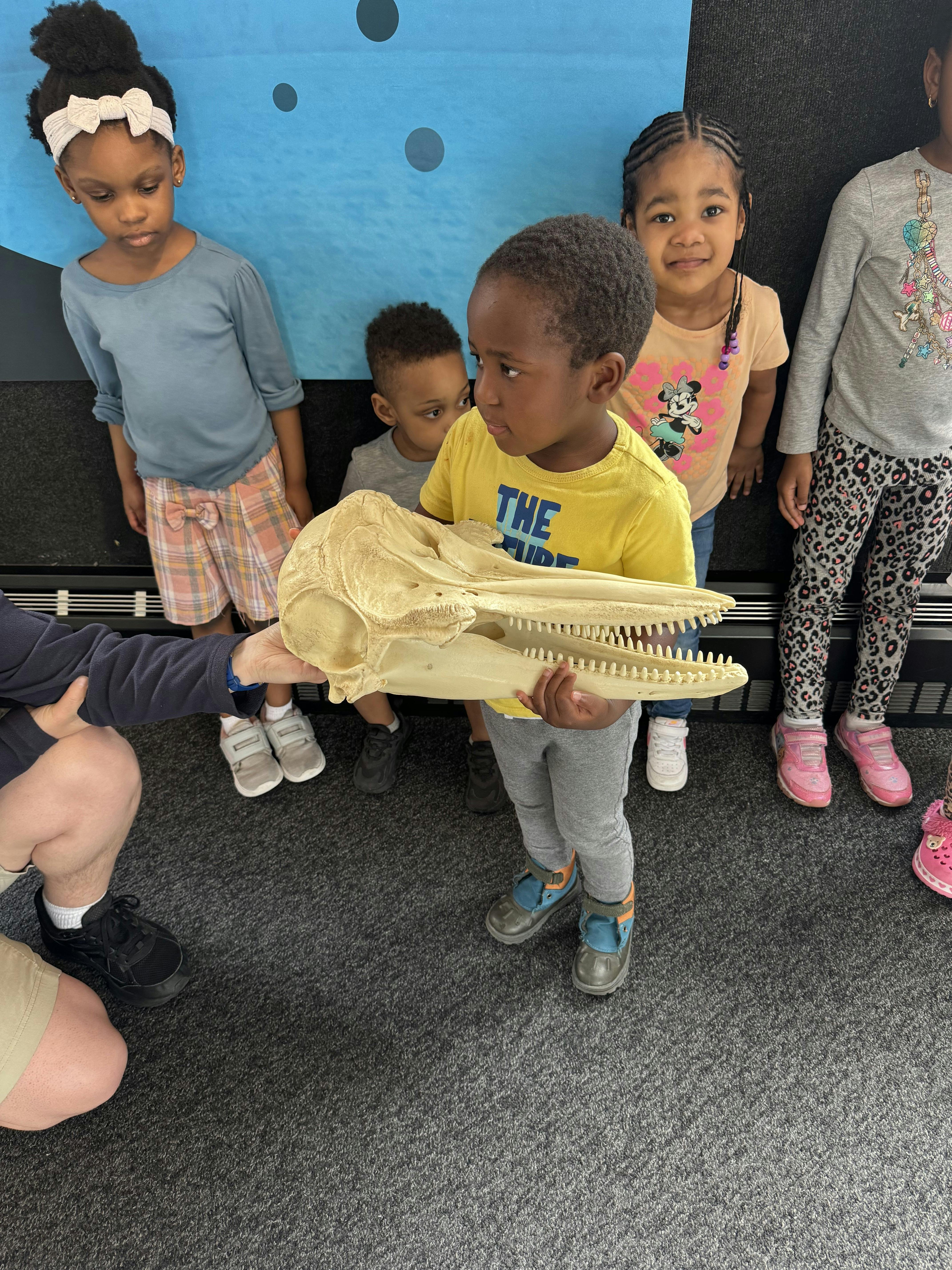 Child holding a large animal skull with other children nearby