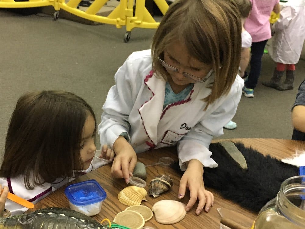 Two children examining shells and other objects on a table