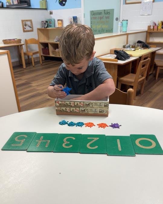 Child placing small plastic figures near numbered cards on a classroom table