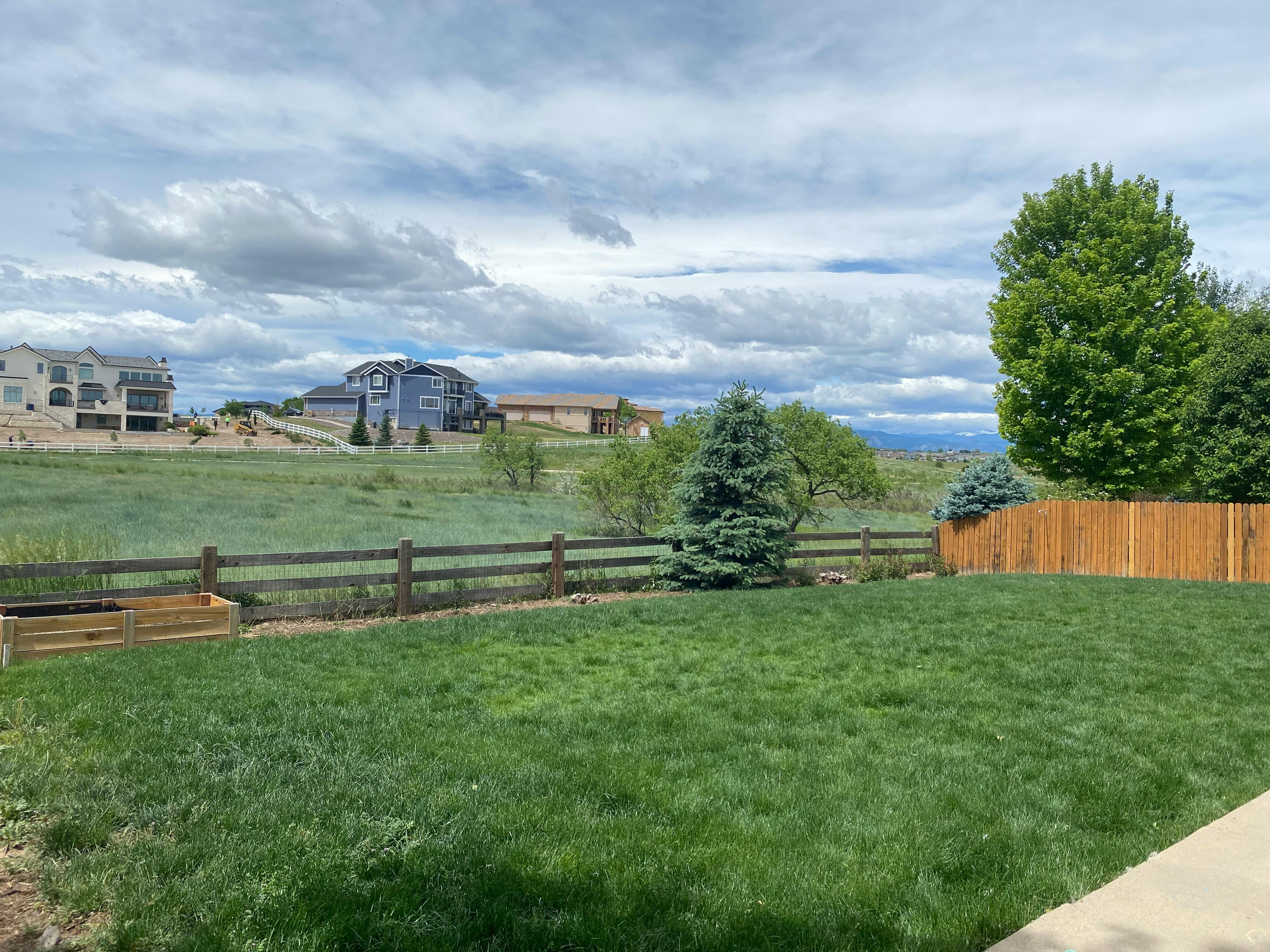 Grassy backyard with a wooden fence and distant buildings under a cloudy sky