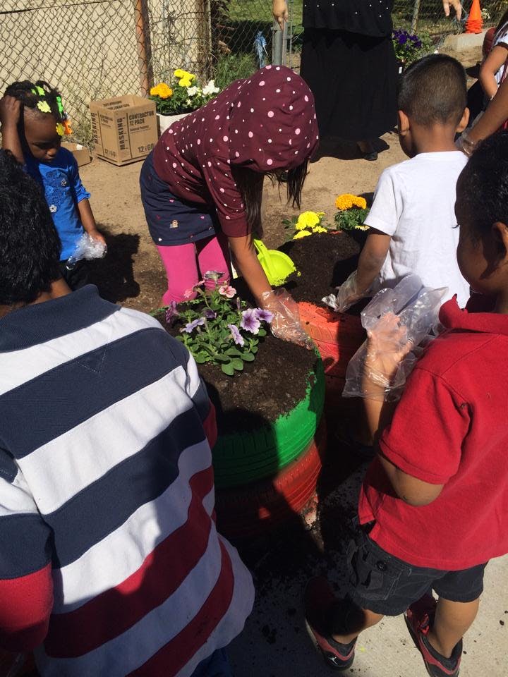 Children planting flowers in a garden