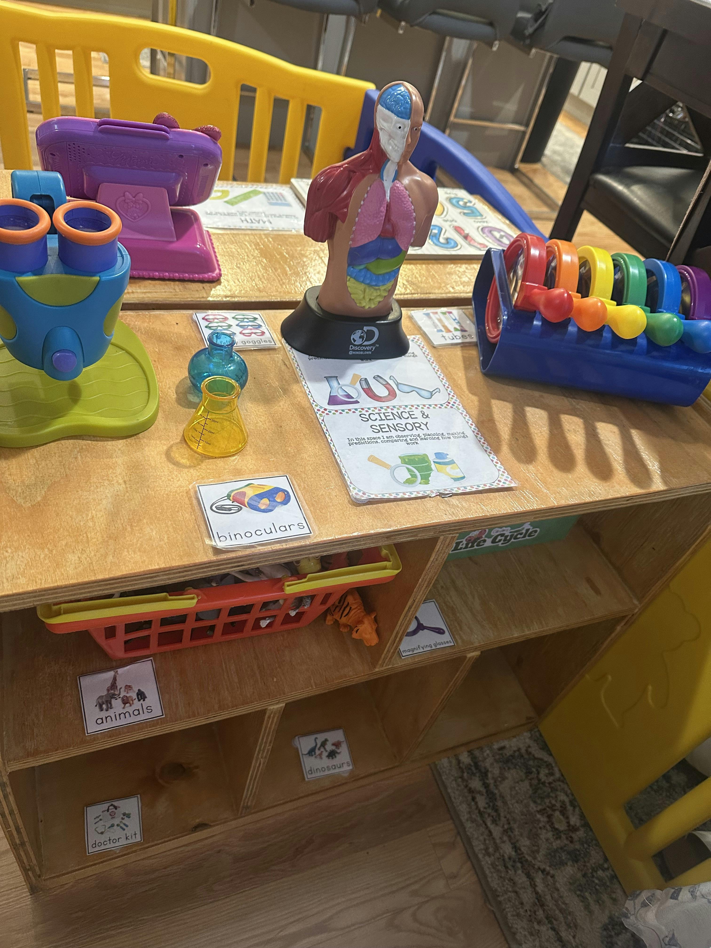 Science toys on a wooden shelf, including a human anatomy model and microscope