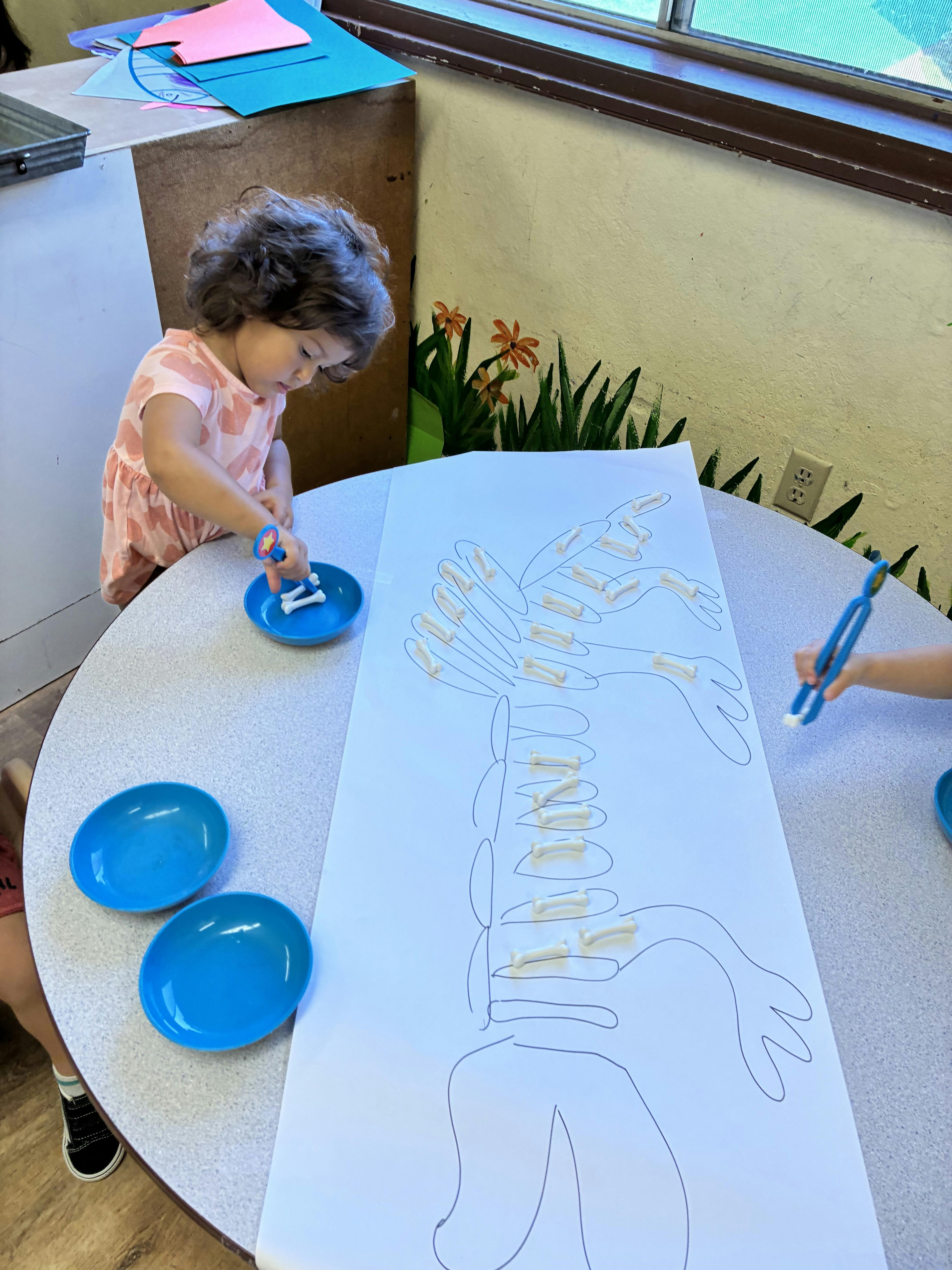 Child placing small objects on a paper skeleton outline