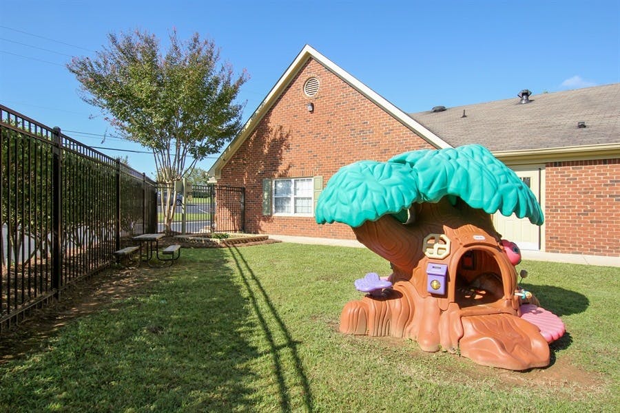 Outdoor playground with a tree-shaped play structure