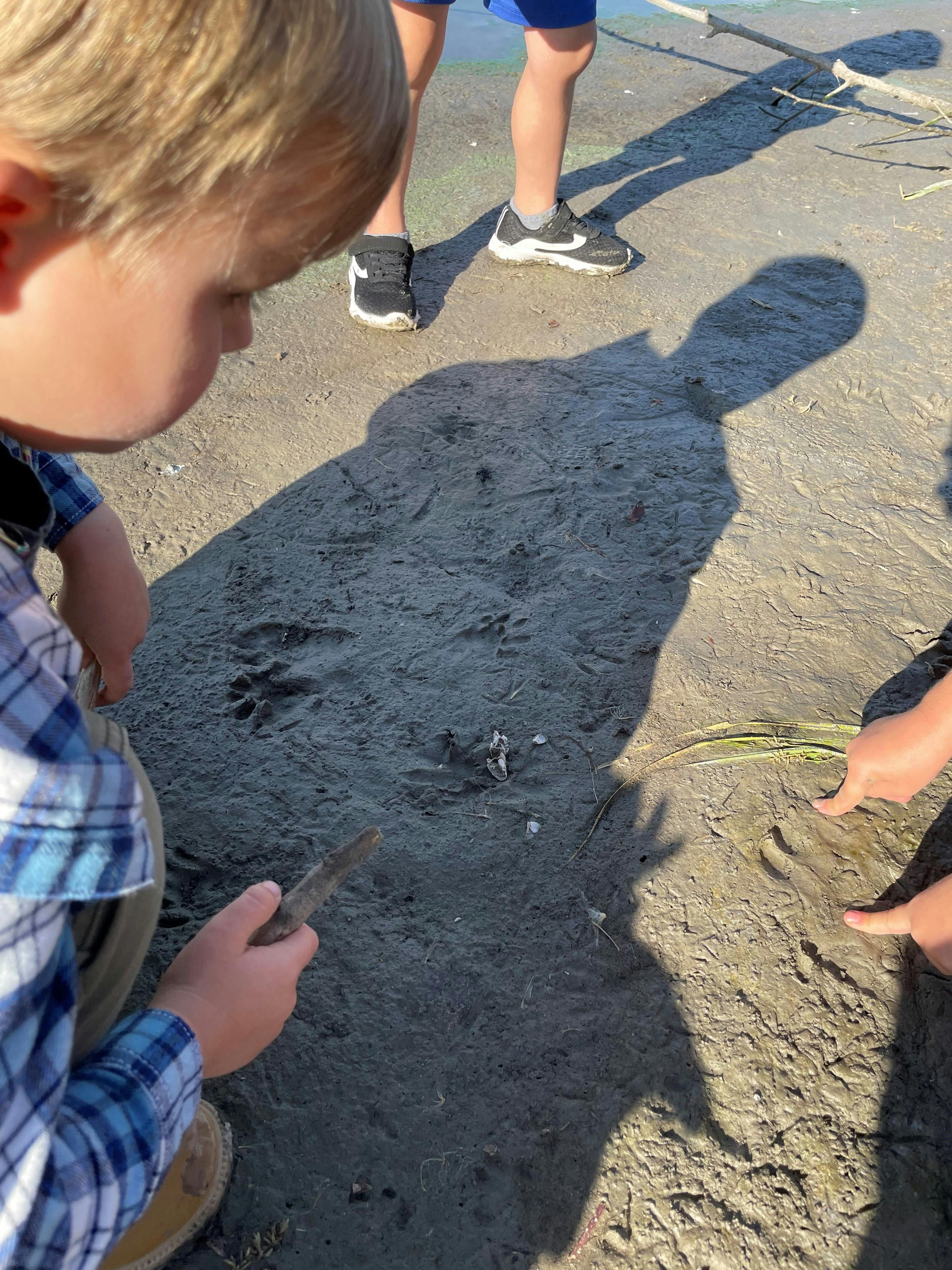 Child holding a stick and looking down at the ground