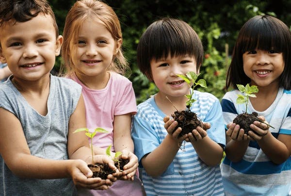 Four children holding small plants with soil in their hands