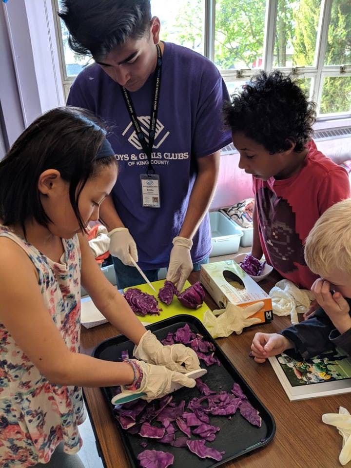 People in gloves cutting purple cabbage