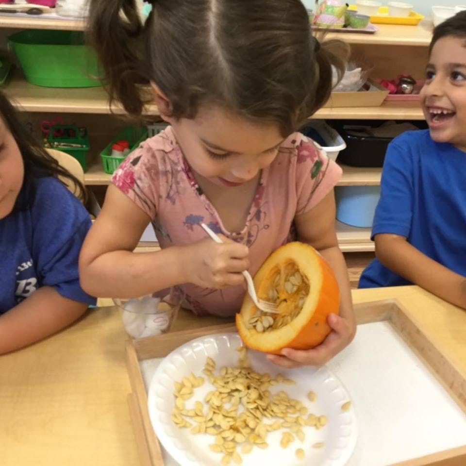 Child scooping seeds from a pumpkin half with a spoon