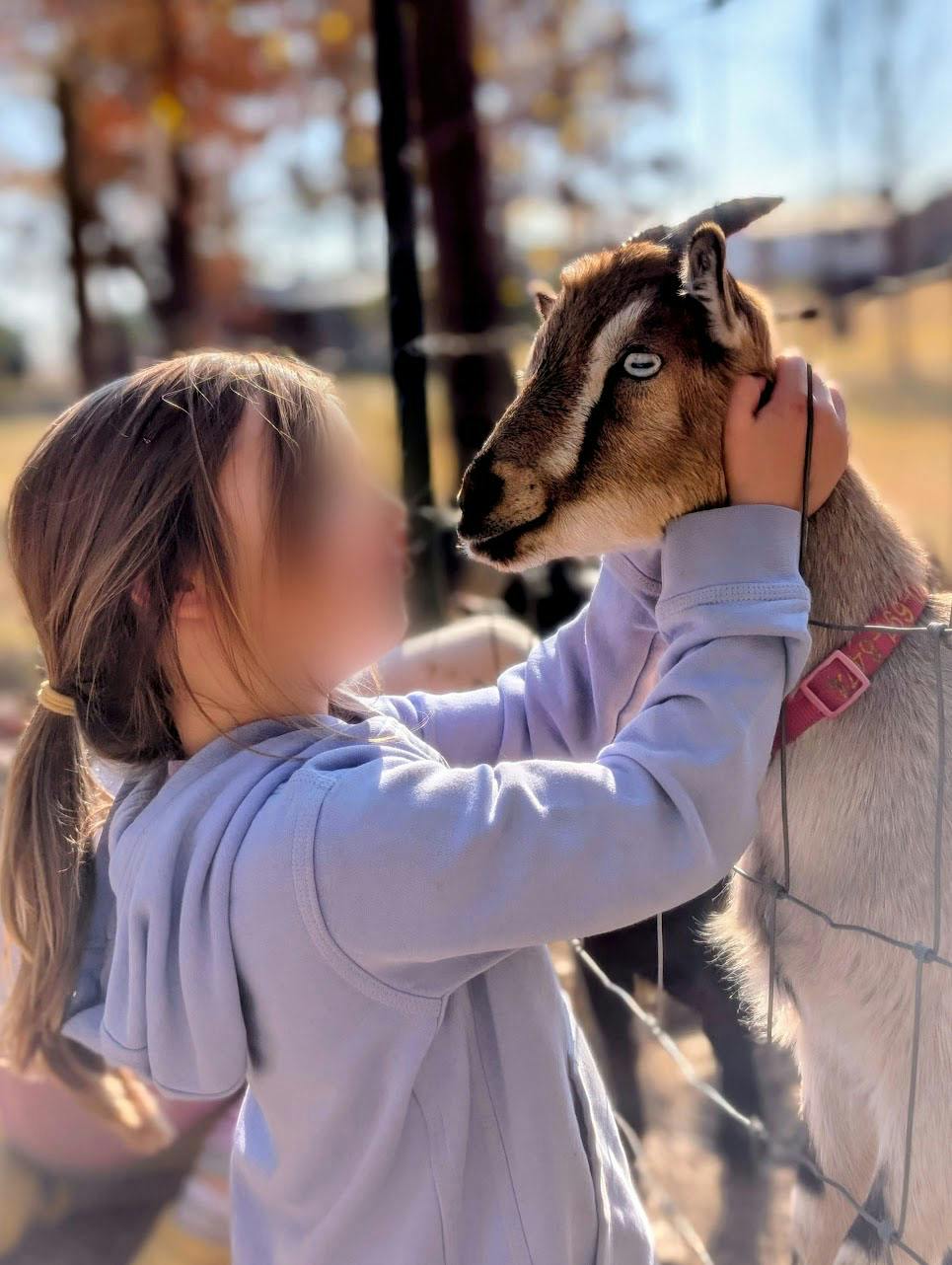 Child petting a goat through a wire fence