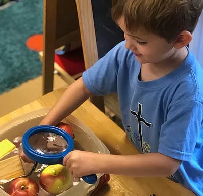 Child holding a magnifying glass over apples in a bin