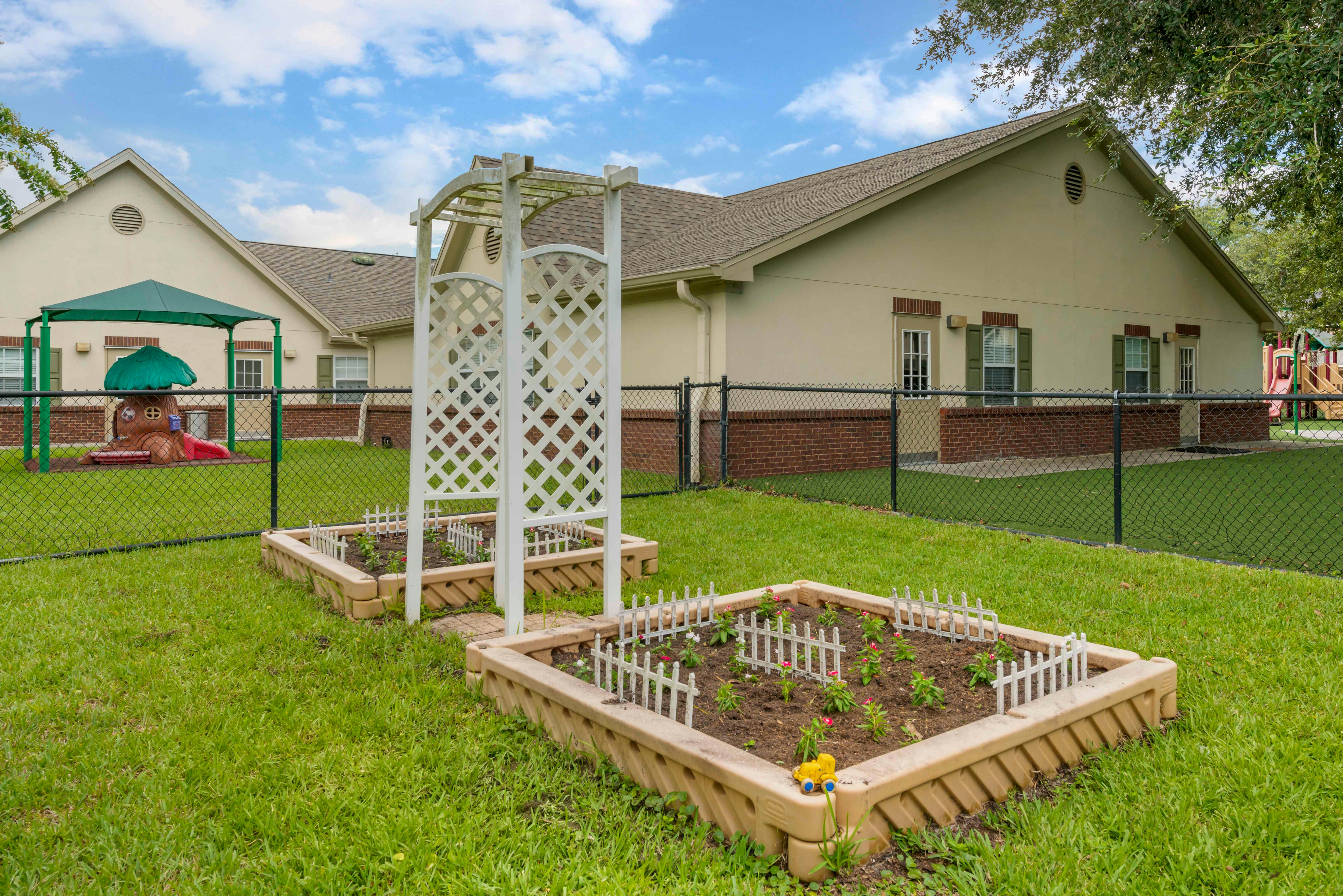 Raised garden beds with small plants and a white arbor in a fenced yard