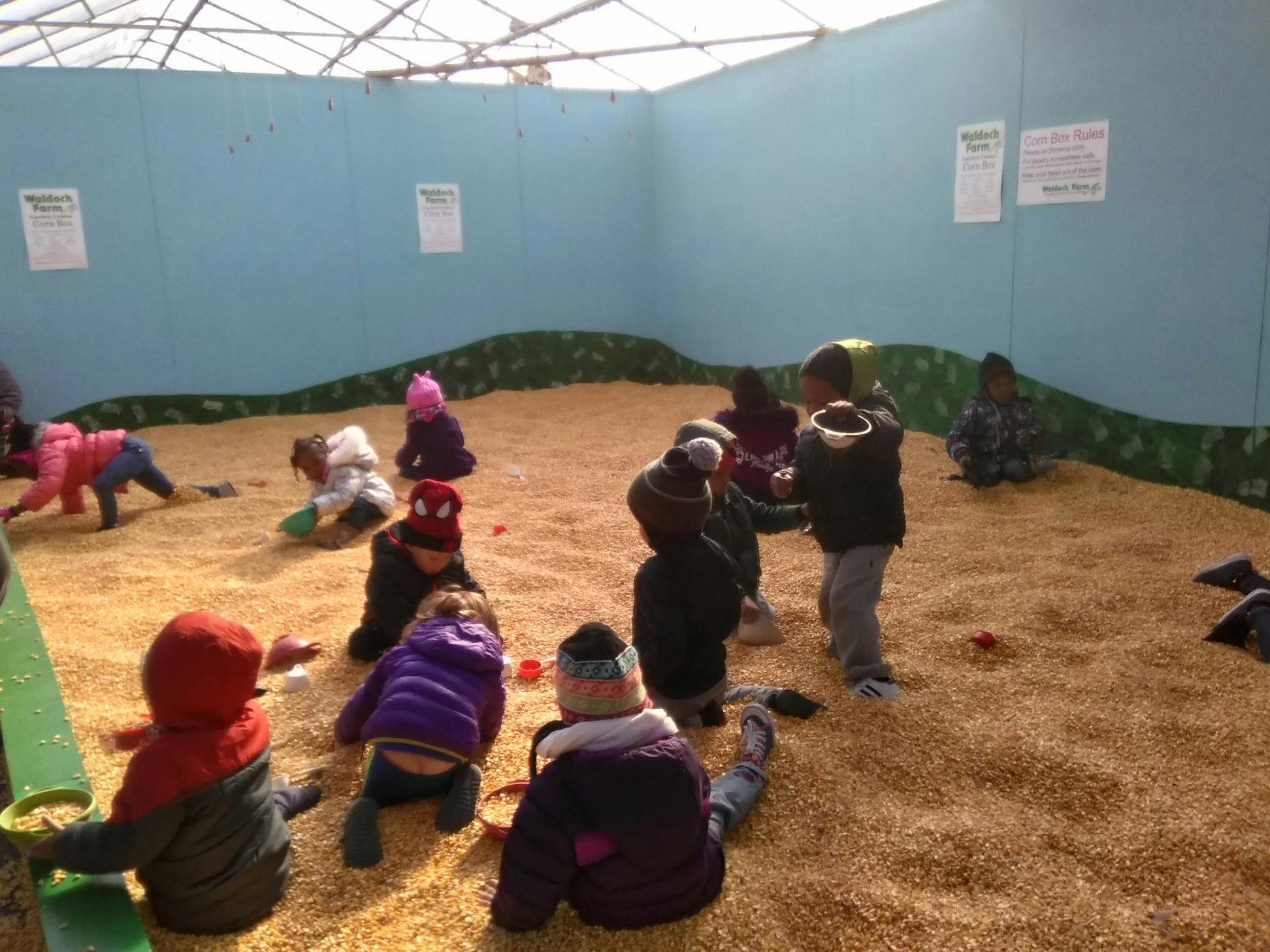 Children playing in a large indoor corn pit