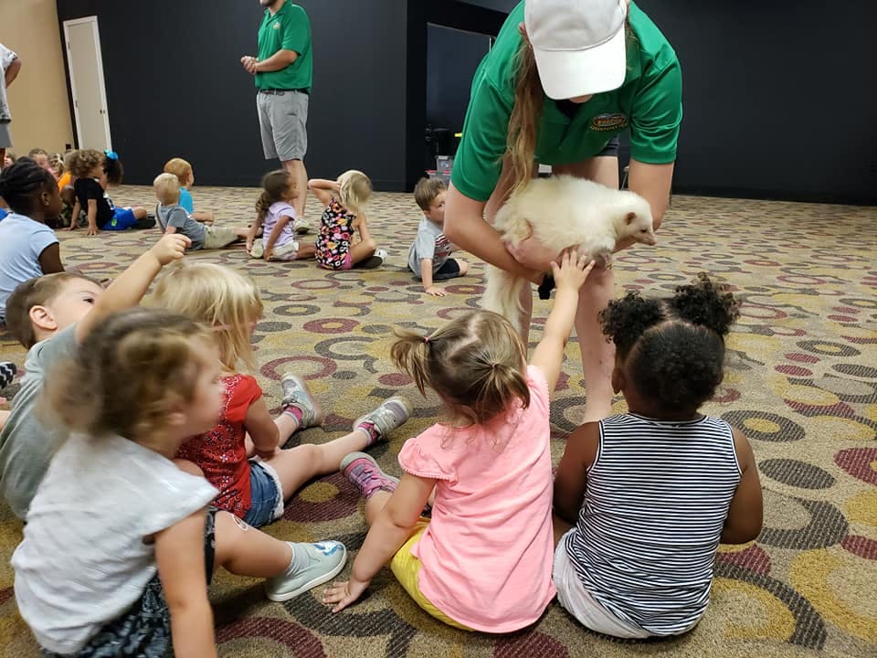 Person holding a small white bird for children to pet