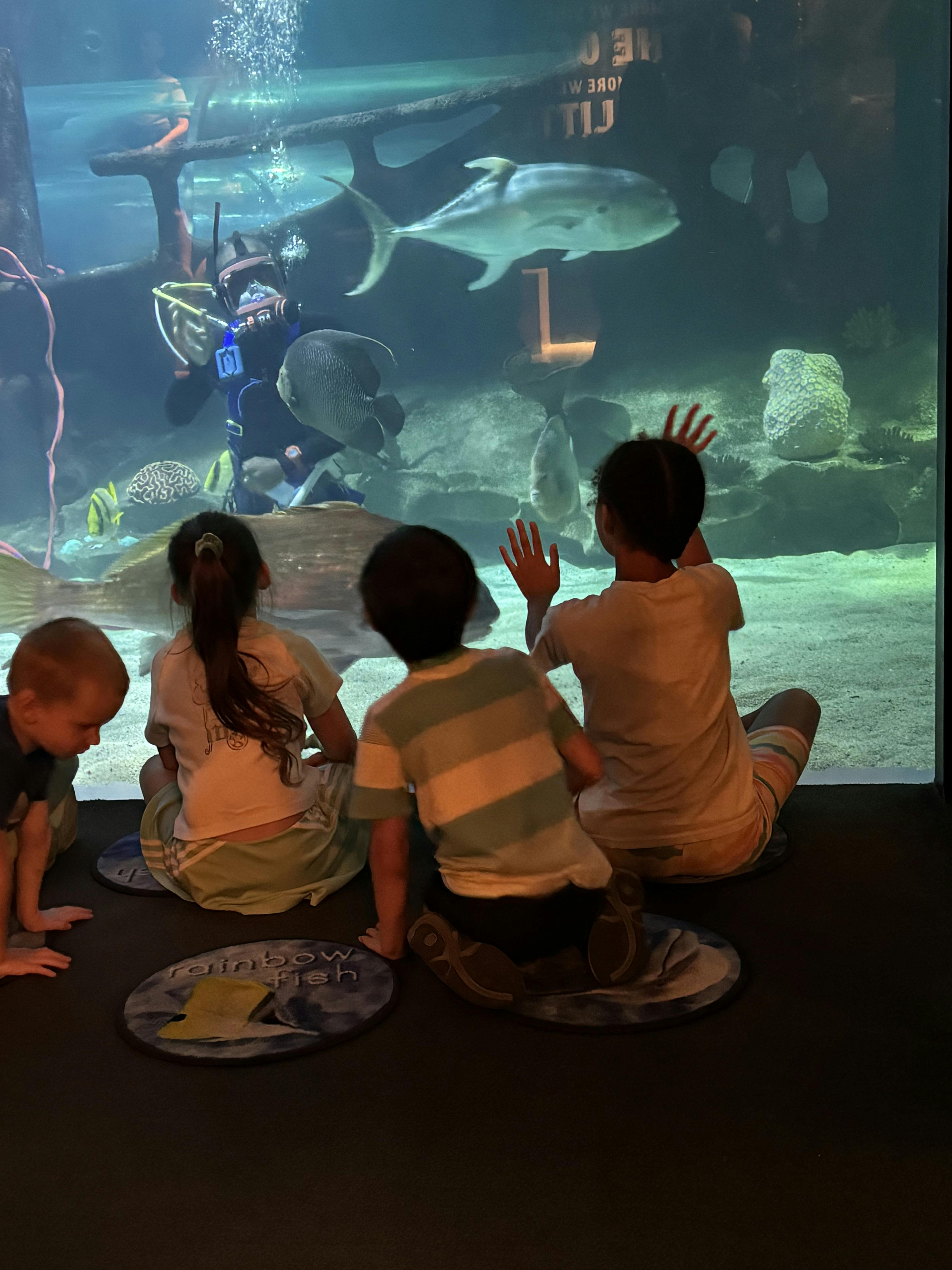 Children watching a diver in an aquarium with fish swimming around