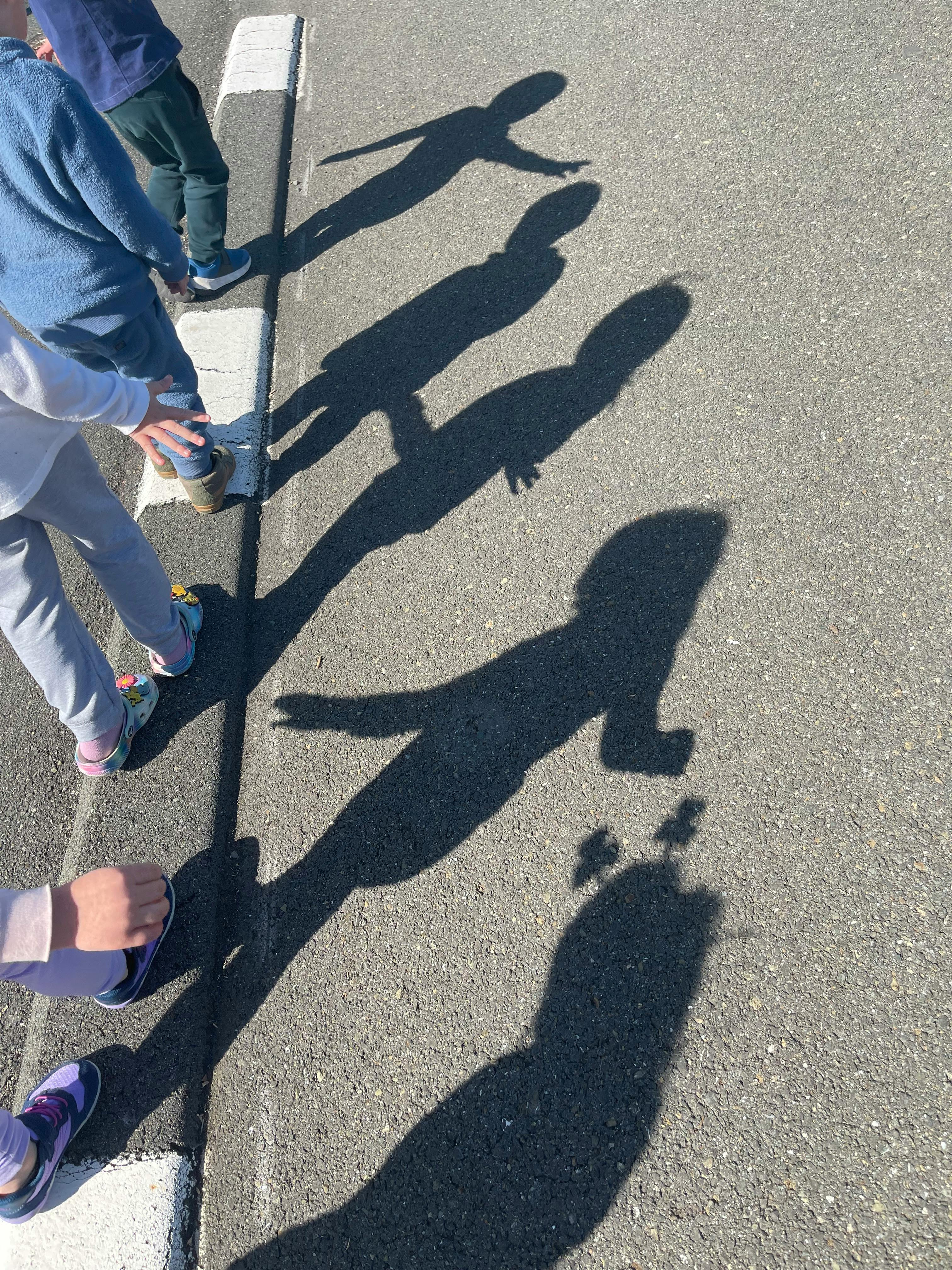 Shadows of multiple people on asphalt next to a curb