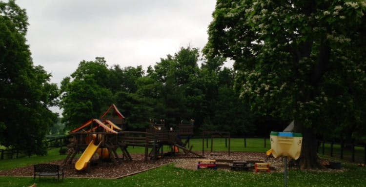 Playground with wooden structure and yellow slide
