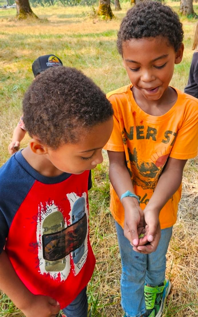Two children looking at a small frog held in hands