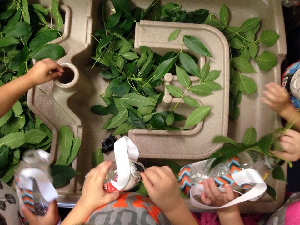 Children playing with leaves and bottles in a sensory bin