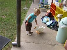 Child touching a toy duck on a sidewalk