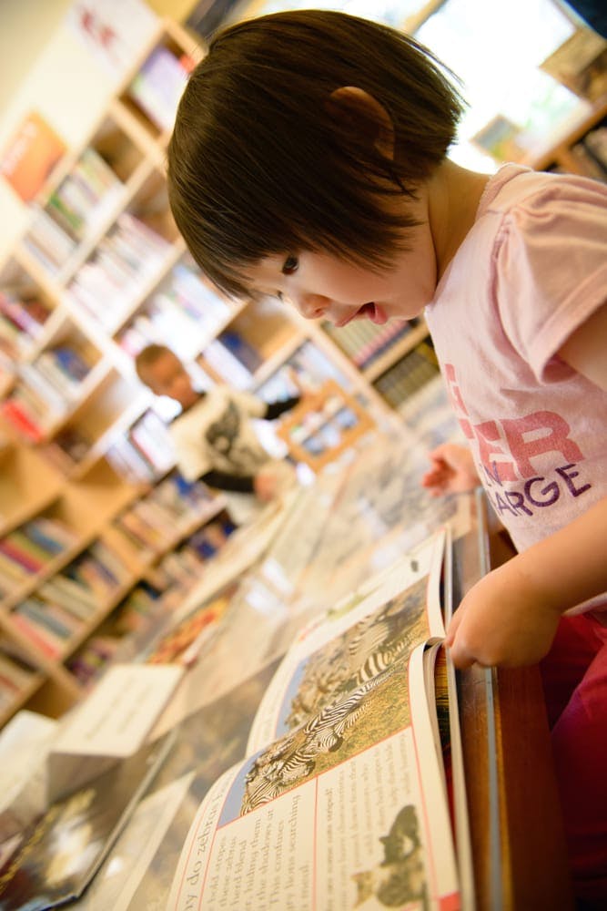 Child looking at an open book