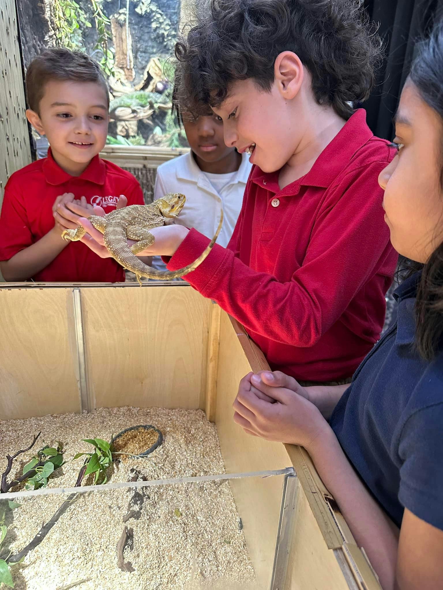 Children interacting with a lizard