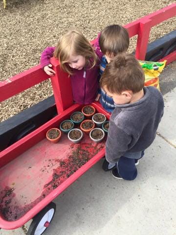 Three children looking into a red wagon with small potted plants