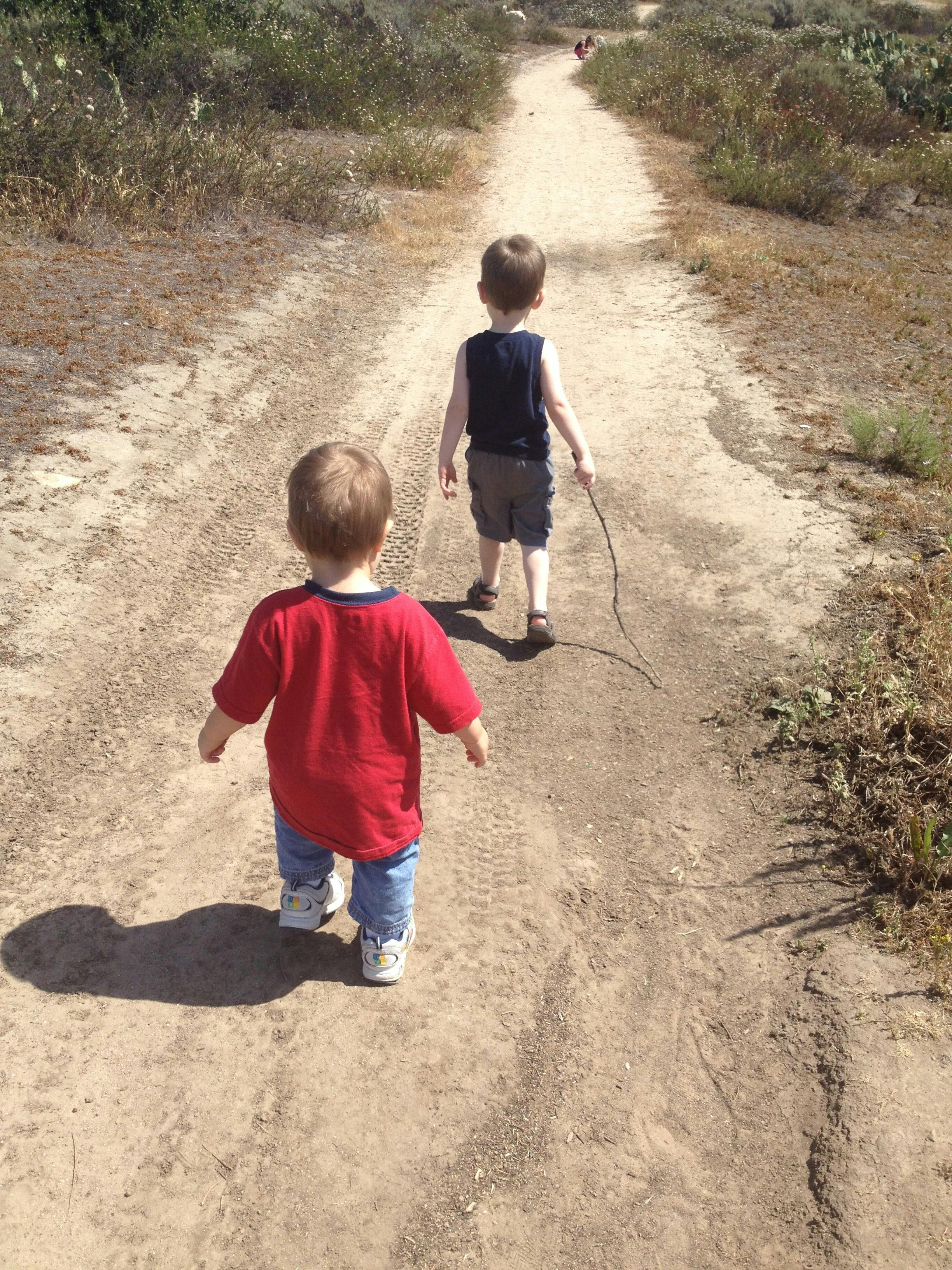 Two children walking on a dirt path