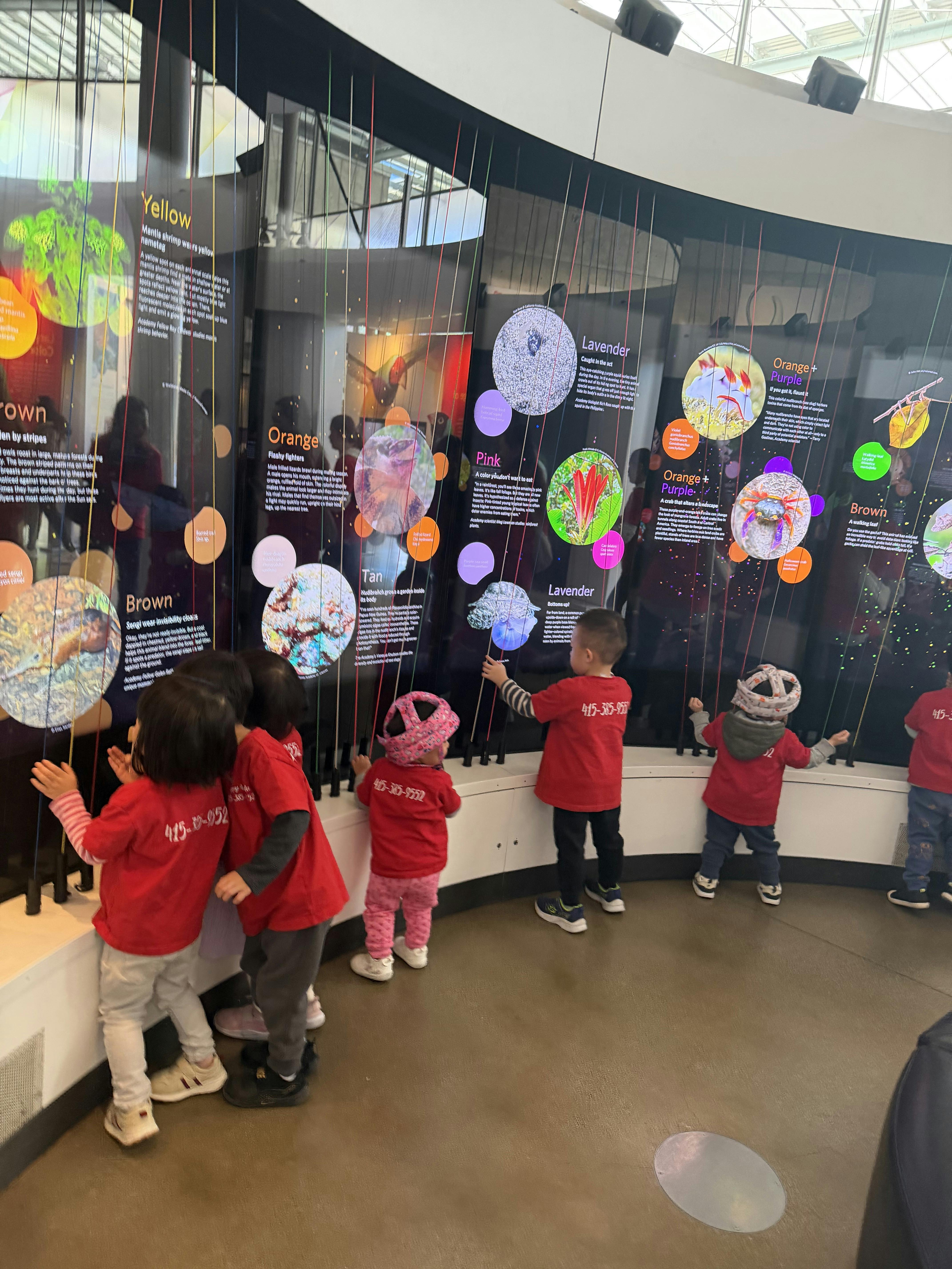 children interacting with an exhibit featuring colorful biology displays