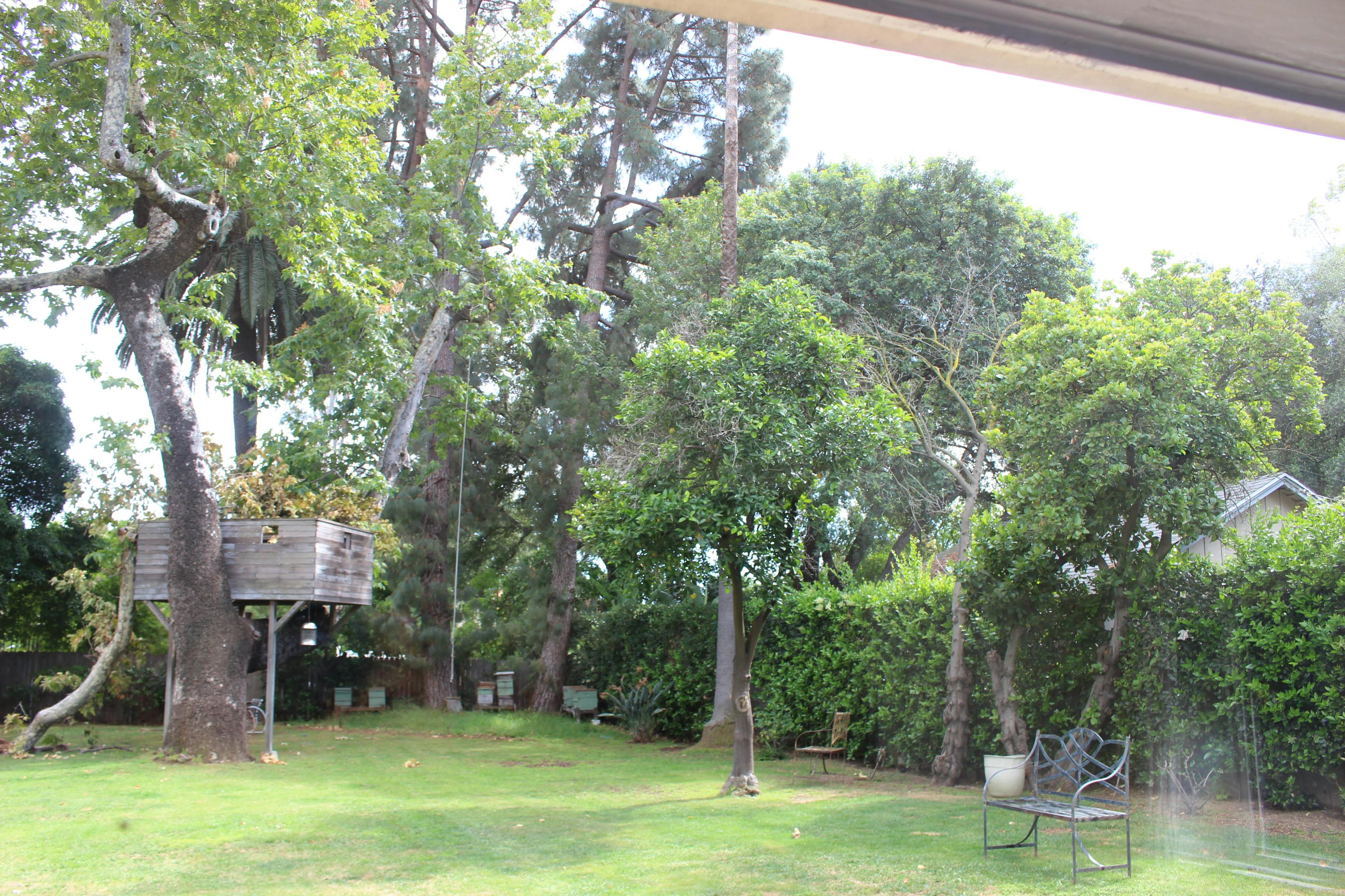 A wooden treehouse in a grassy backyard with trees and a metal bench