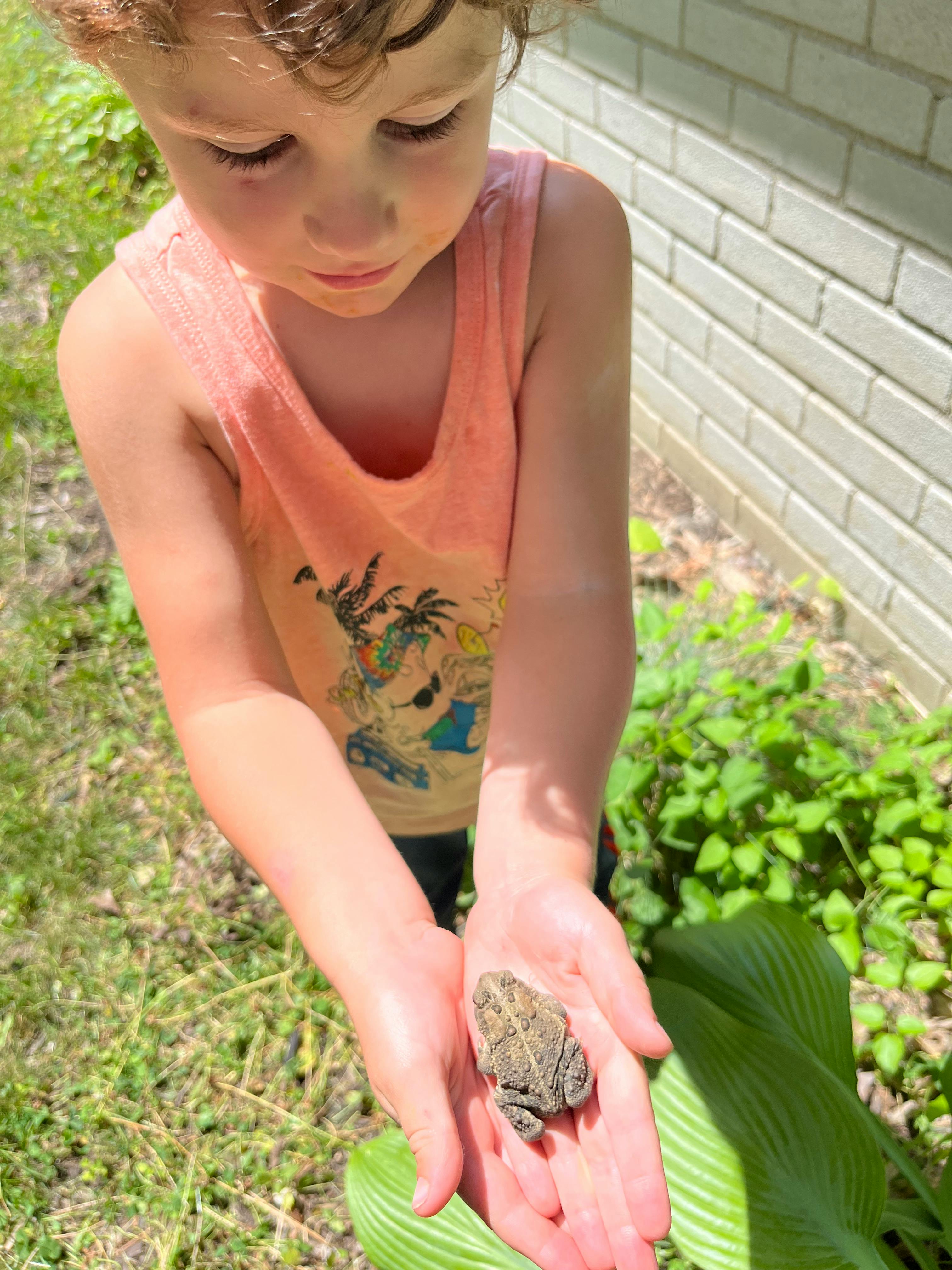 Child holding a toad in cupped hands