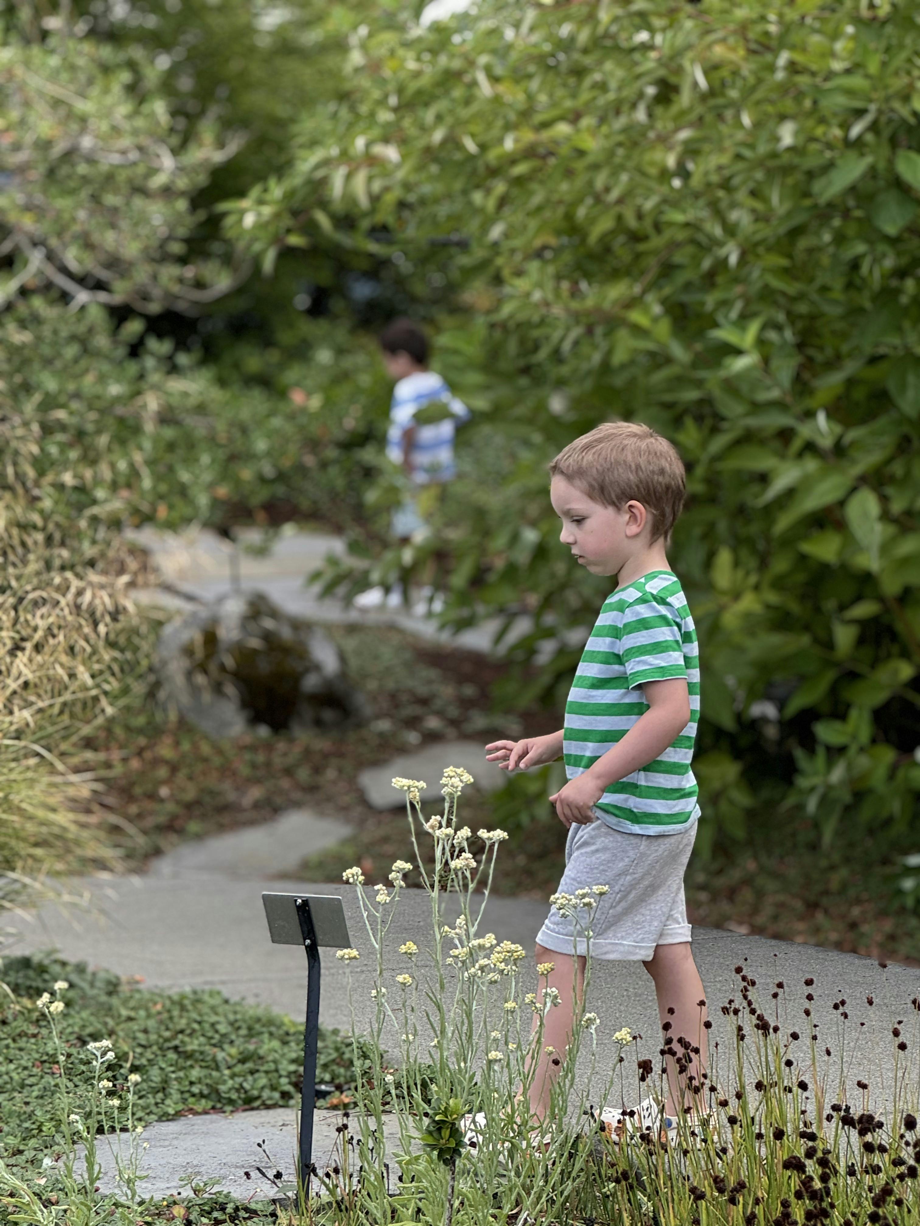Child looking at flowers in a garden