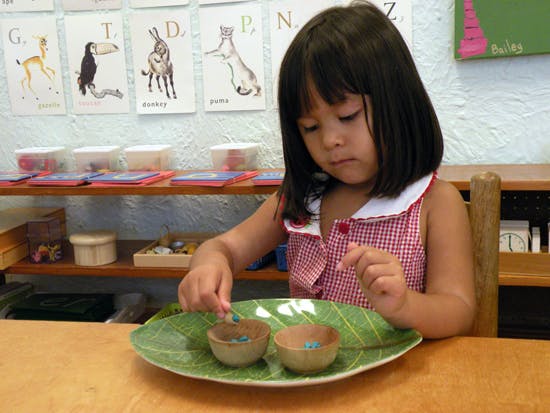 Child sorting small objects into bowls on a leaf-shaped plate