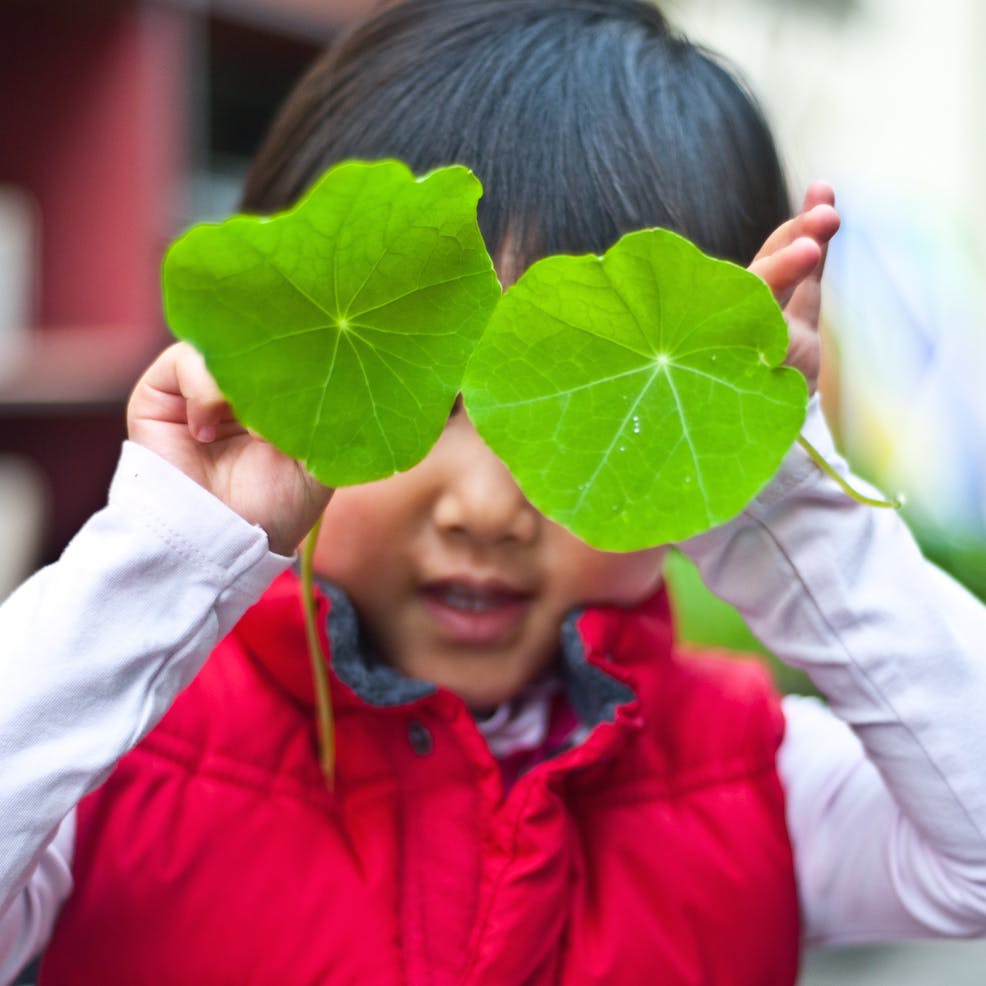 Child holding two green leaves over their eyes