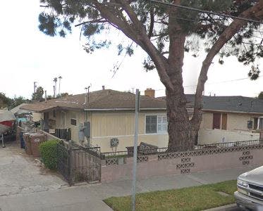 Residential building with a large tree in front