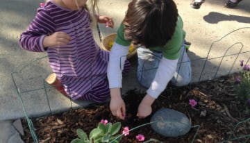 Two children planting in a garden