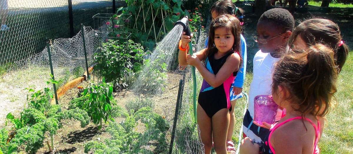 Child watering plants in a garden with other children watching