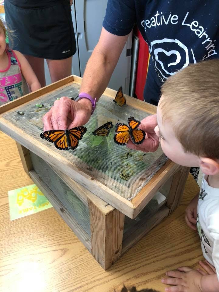Person and child looking at monarch butterflies in a wooden enclosure