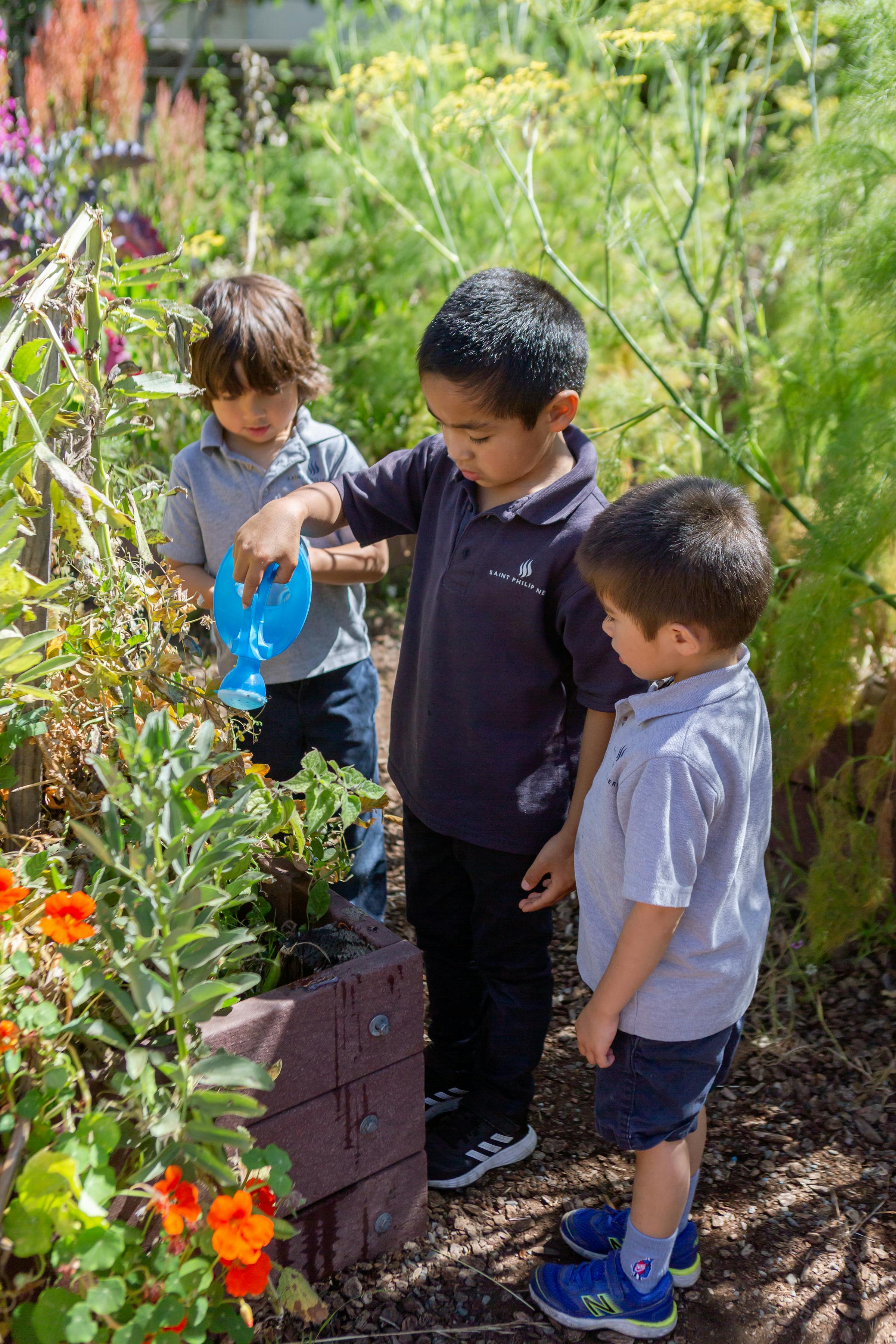 Three children watering plants in a garden