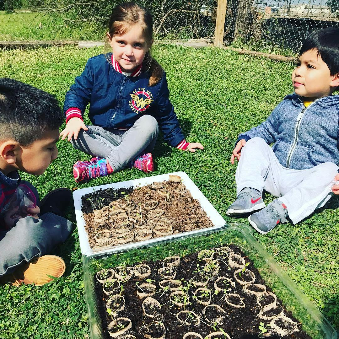 Three children sitting on grass looking at plant seedlings in trays