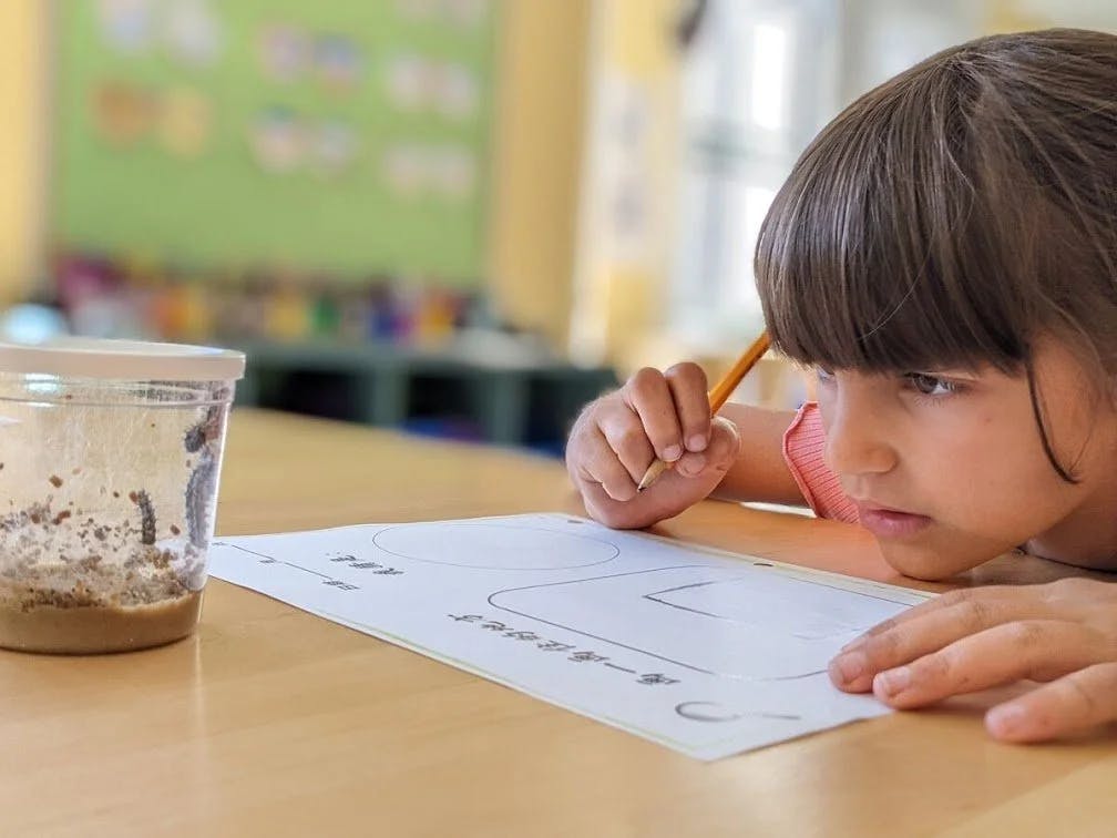 Child drawing on paper with a pencil in a classroom