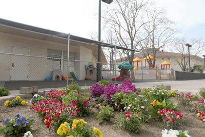 Flower bed in front of a building with a playground in the background