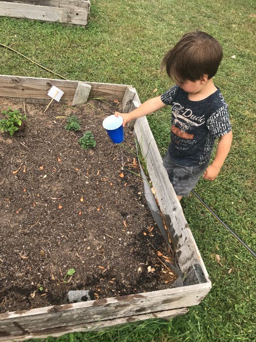 Child watering plants in a raised garden bed with a blue cup