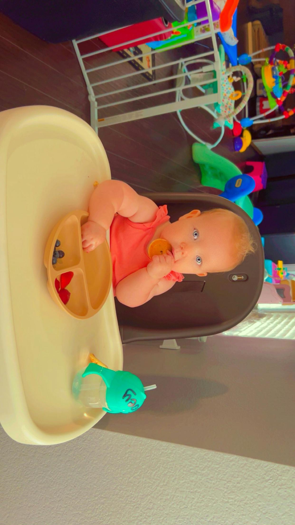 Child in a high chair with a divided plate and a sippy cup
