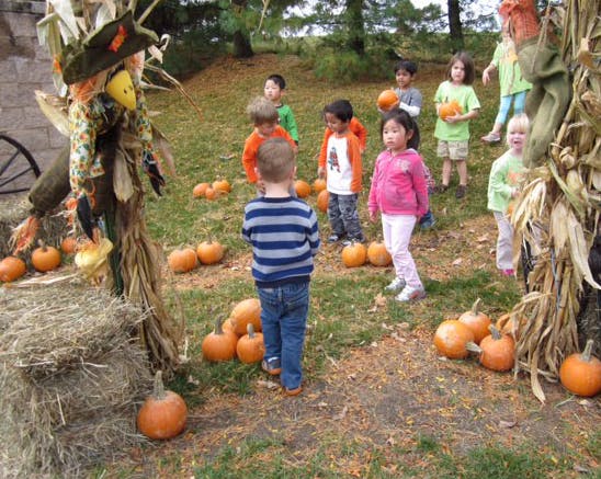 Children standing among pumpkins outdoors